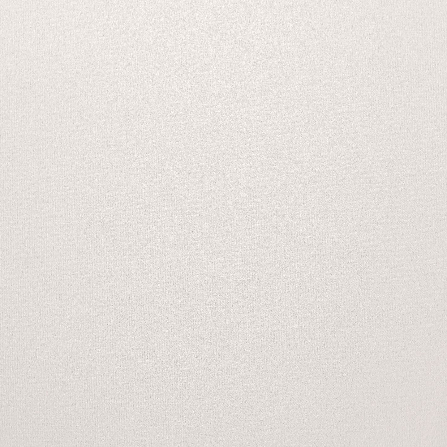 Galiano Velvet Upholstered Dining Arm Cream Beige (Set of 2)