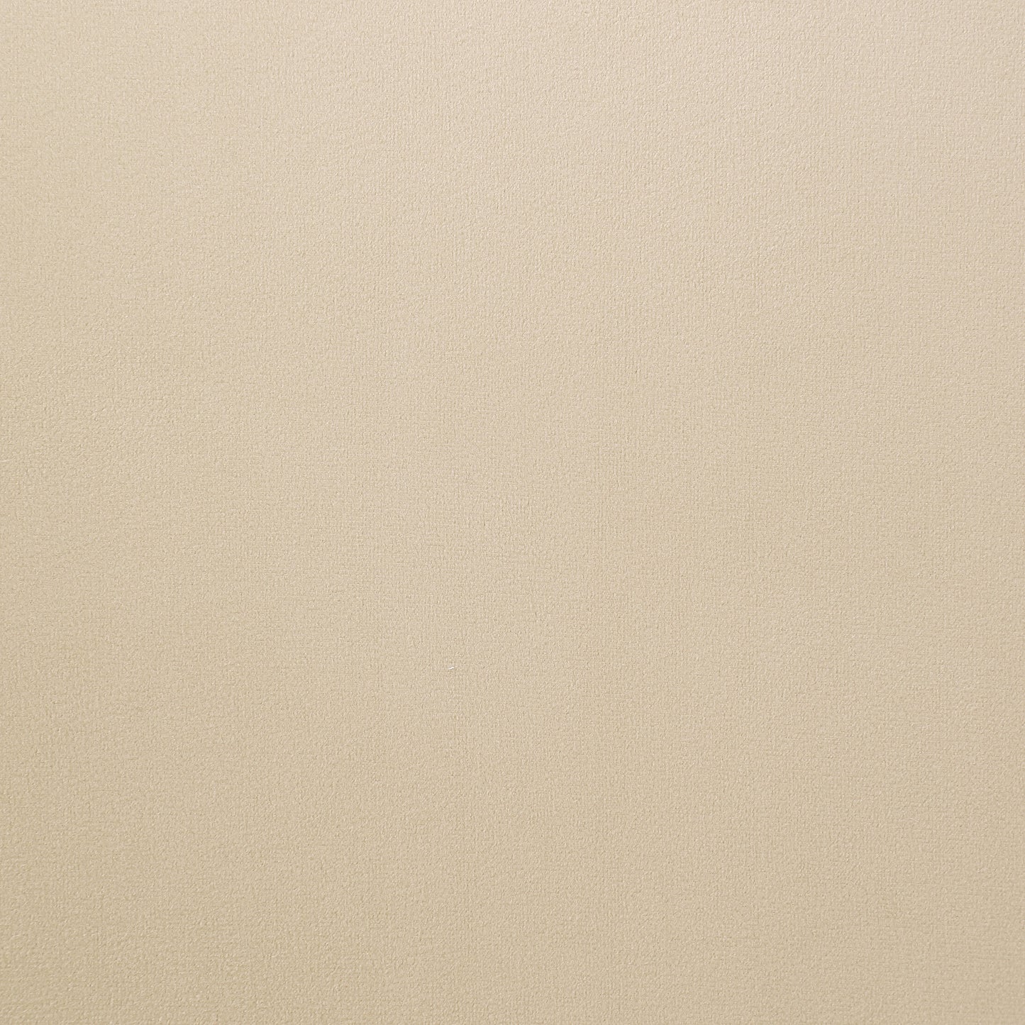 Galiano Velvet Upholstered Dining Arm Chair Beige (Set of 2)