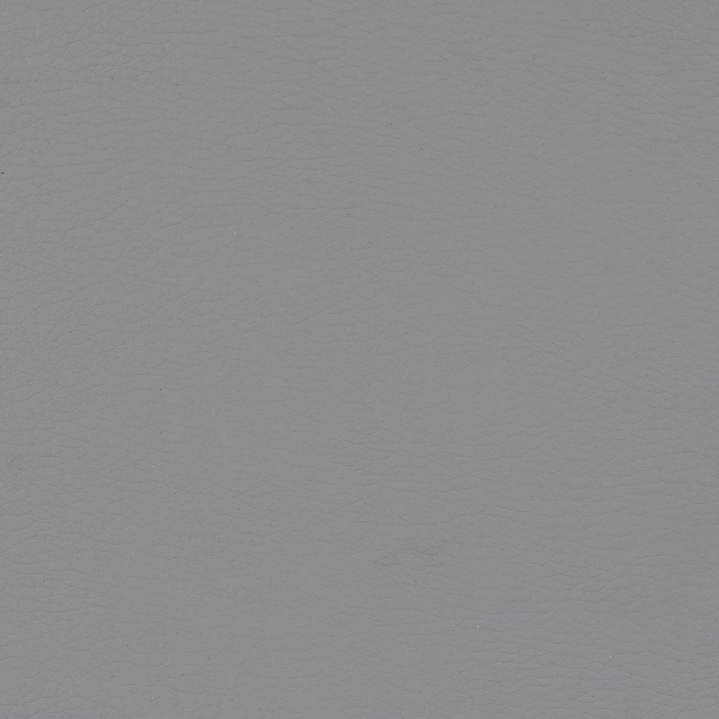 Caballo Polypropylene Dining Side Chair Grey (Set of 2)