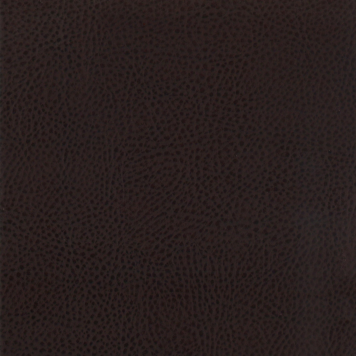 Dewey Upholstered Counter Chair Walnut (Set of 2)