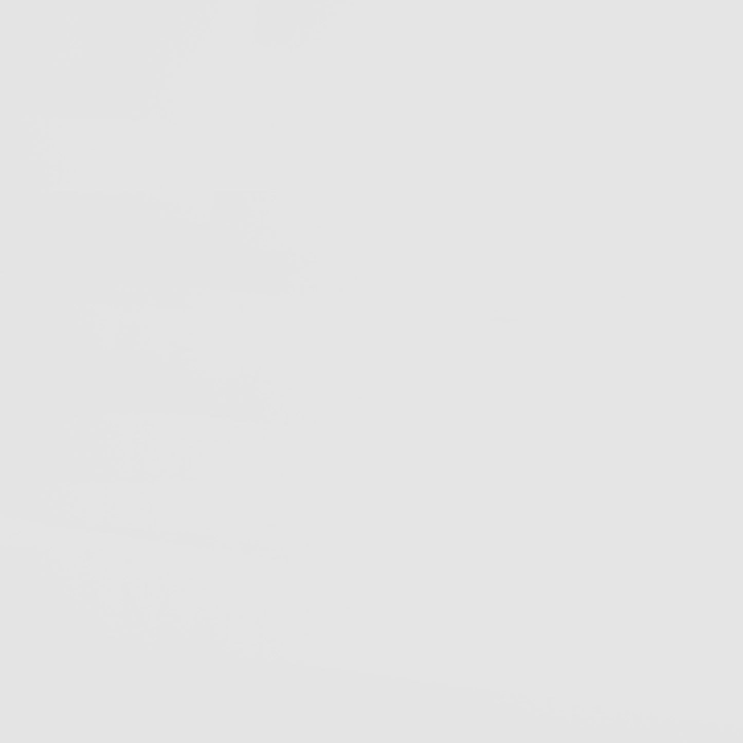 Frankie Wood Twin Over Twin Bunk Bed White and Natural