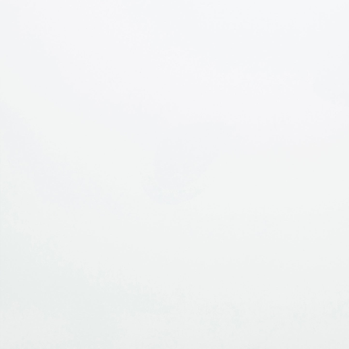 Skyview 44-inch Rectangular Lift Top Coffee Table White