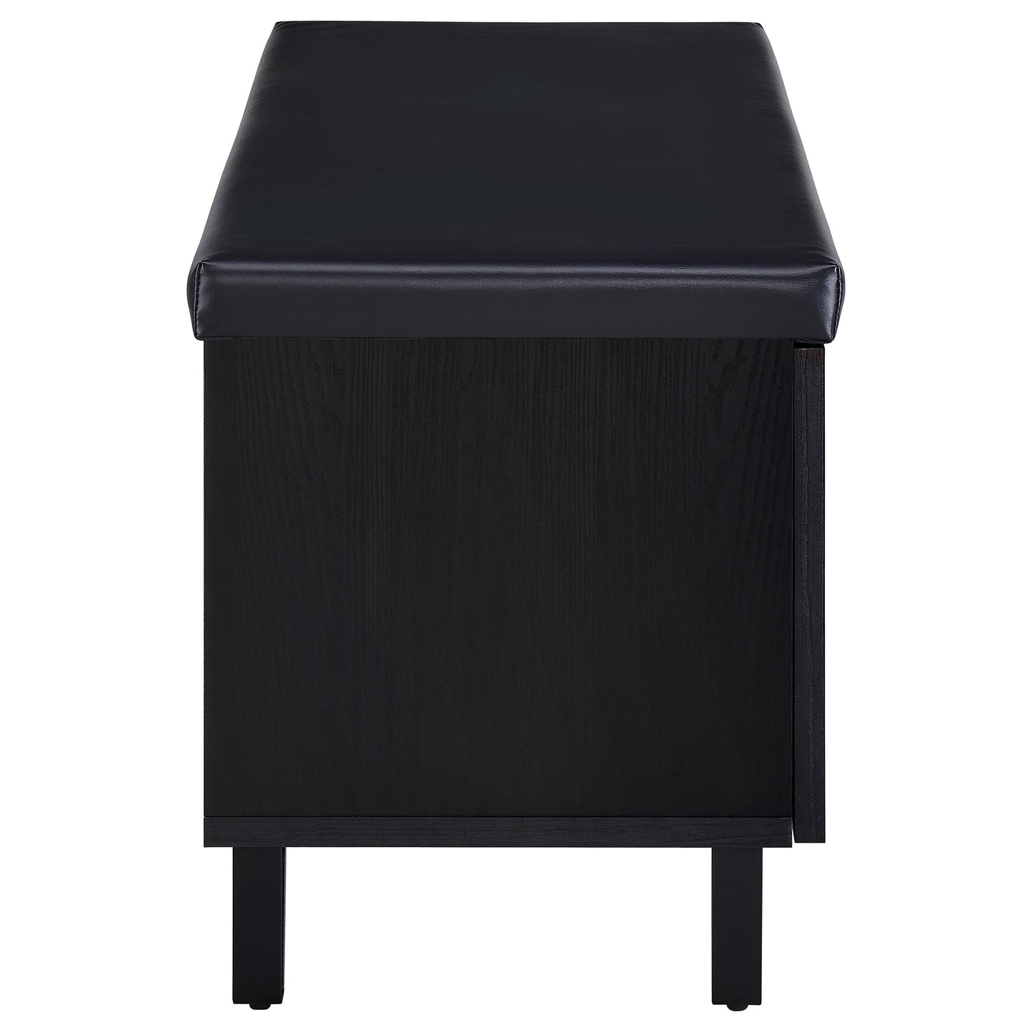 Brixton 2-door Padded Entryway Shoe Storage Bench Black