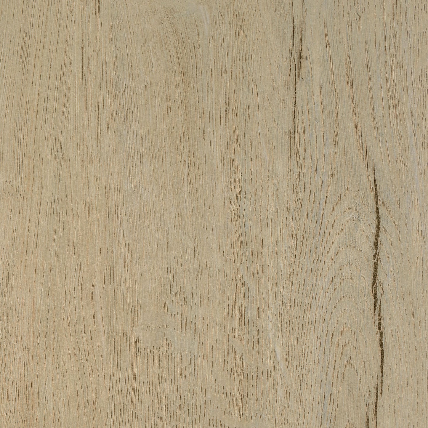 Brixton 2-door Padded Entryway Shoe Storage Bench White Oak