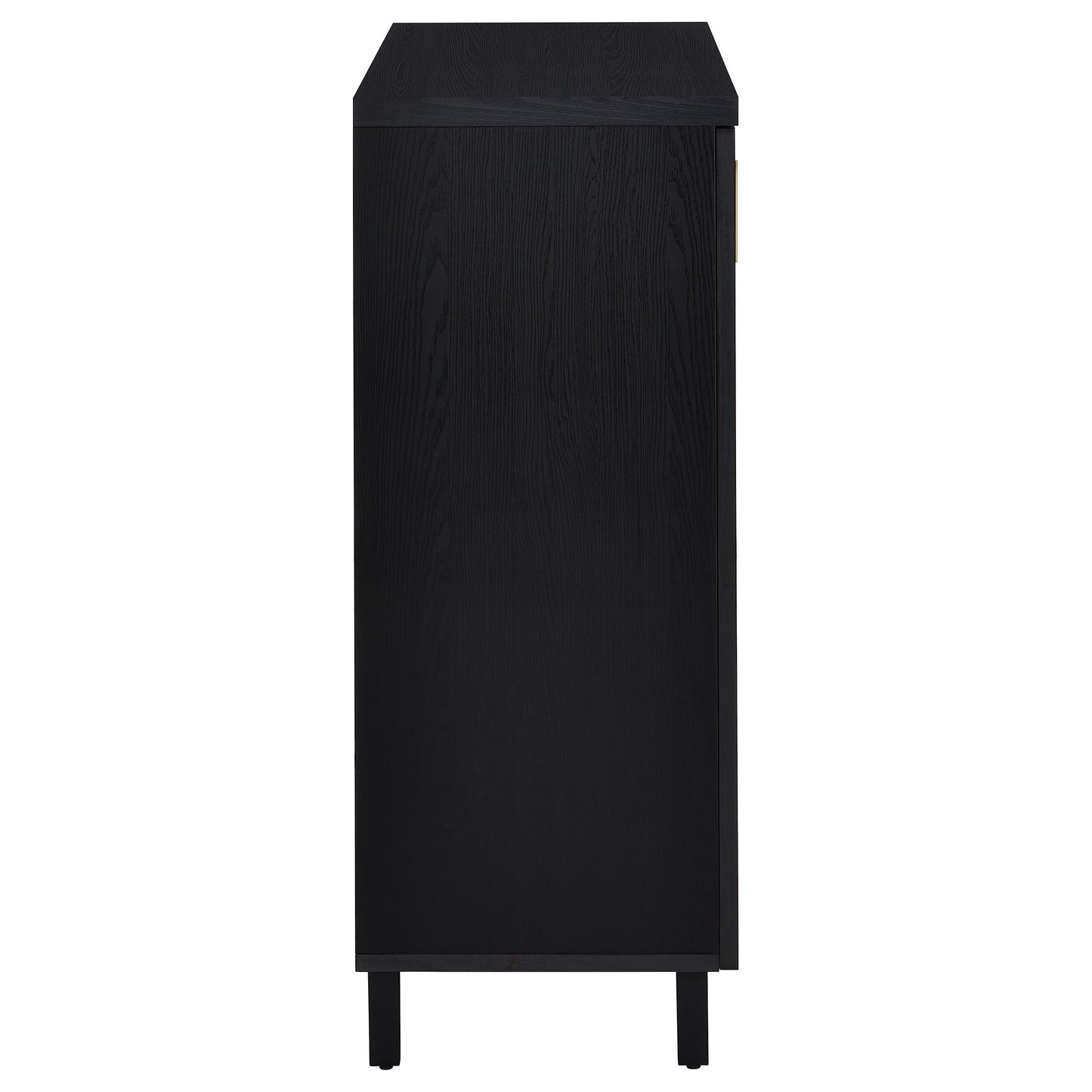 Brixton 2-door Entryway Shoe Storage Cabinets Black