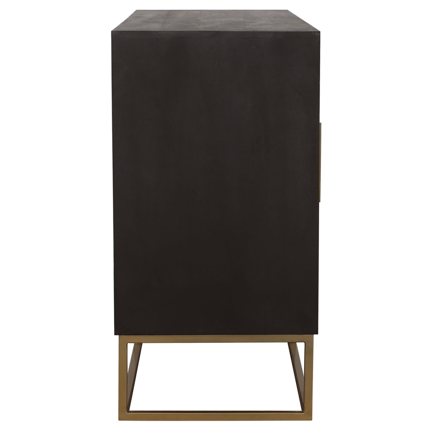 Zara 2-door 57-inch Wood Accent Storage Cabinet Black Walnut