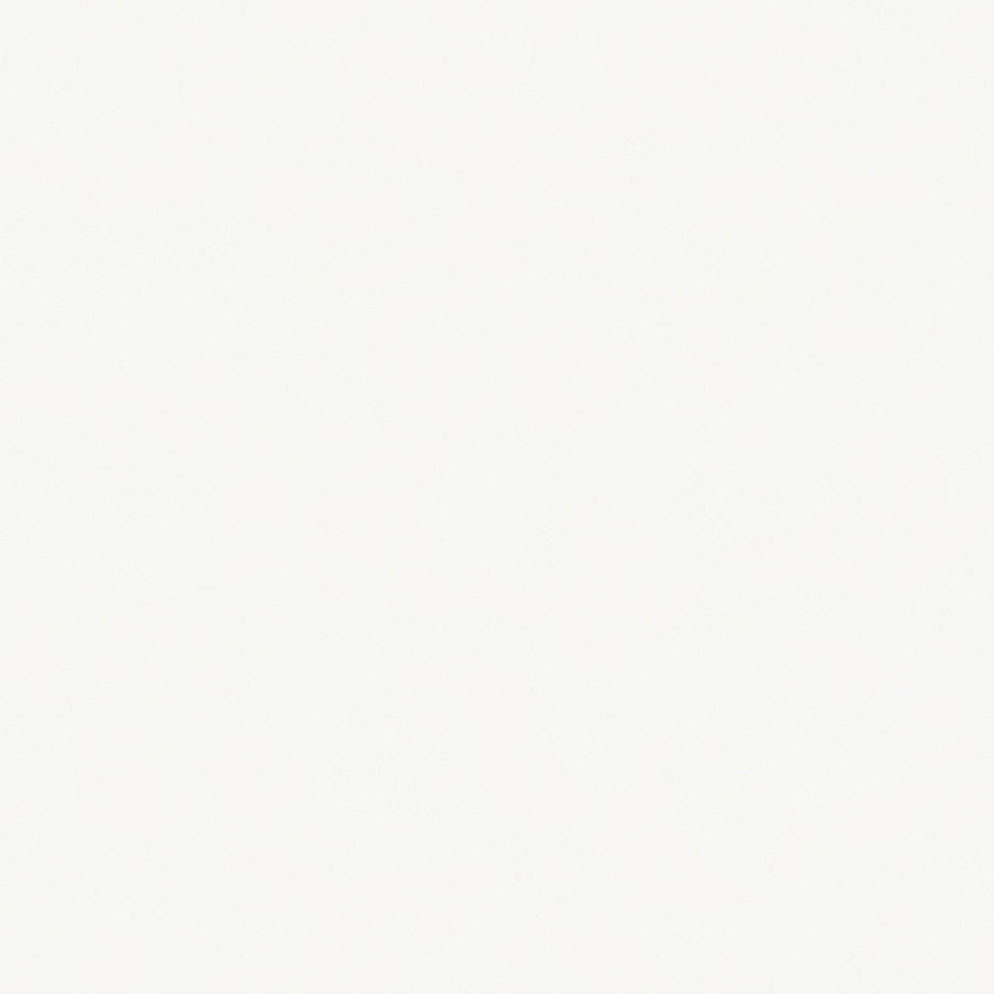 Windrose 28 x 67 Inch Tempered LED Standing Mirror White